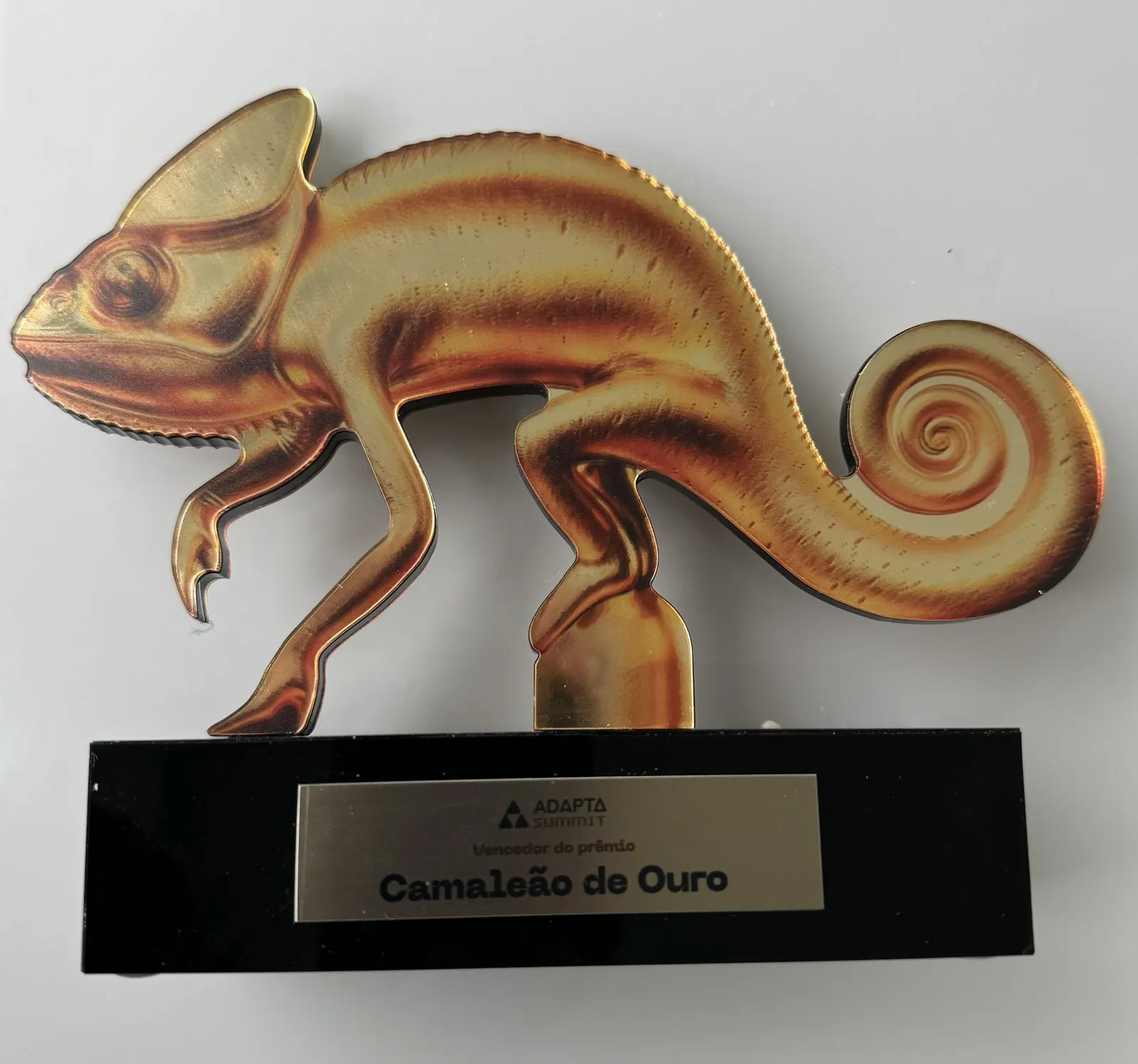 Troféu Camaleão de Ouro do Adapta Summit, com a placa de vencedor do prêmio